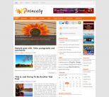 Оранжевый новостной шаблон wordpress: Princely